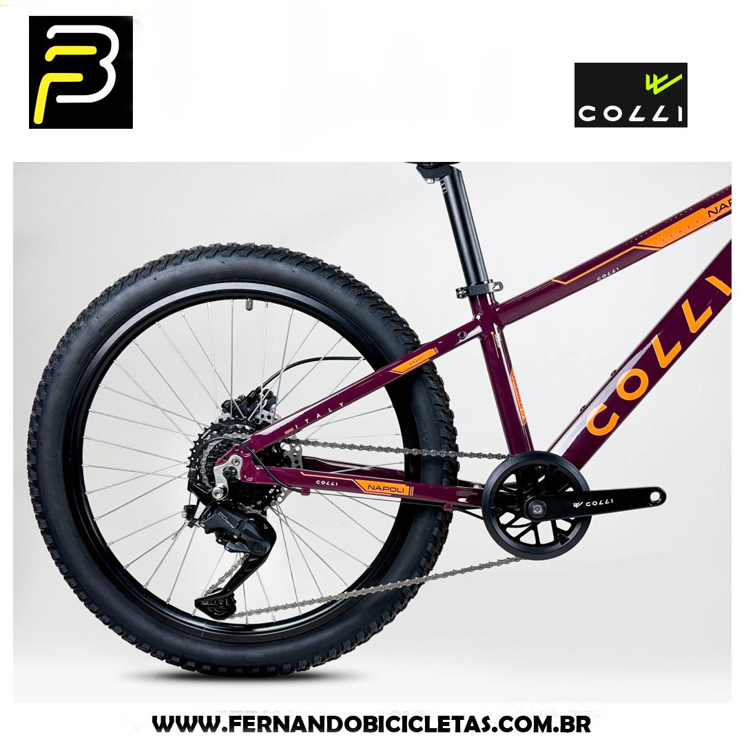 Bicicleta Colli Napoli PRO 8V - Aro 24