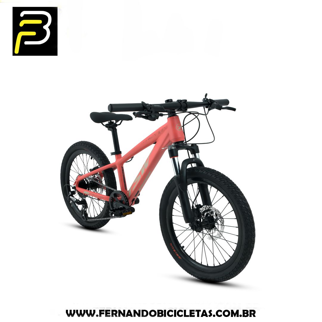 Bicicleta TSW Hunch Aro 20