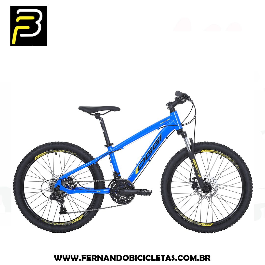 Bicicleta Oggi Hacker / Aro- 24