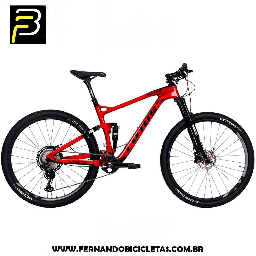 Bicicleta Lotus Pegasus Full Carbono