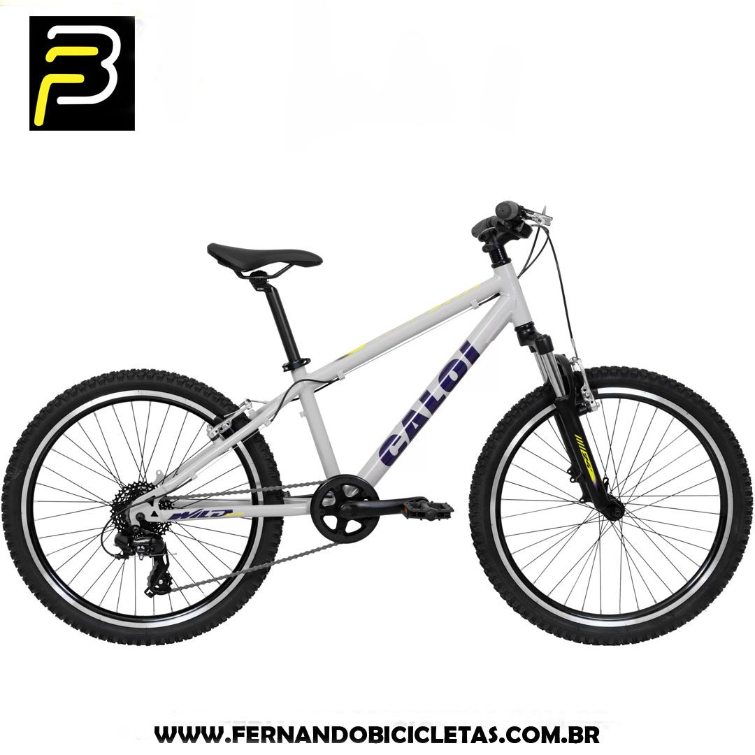 Bicicleta Caloi Wild Aro 24 - 2025