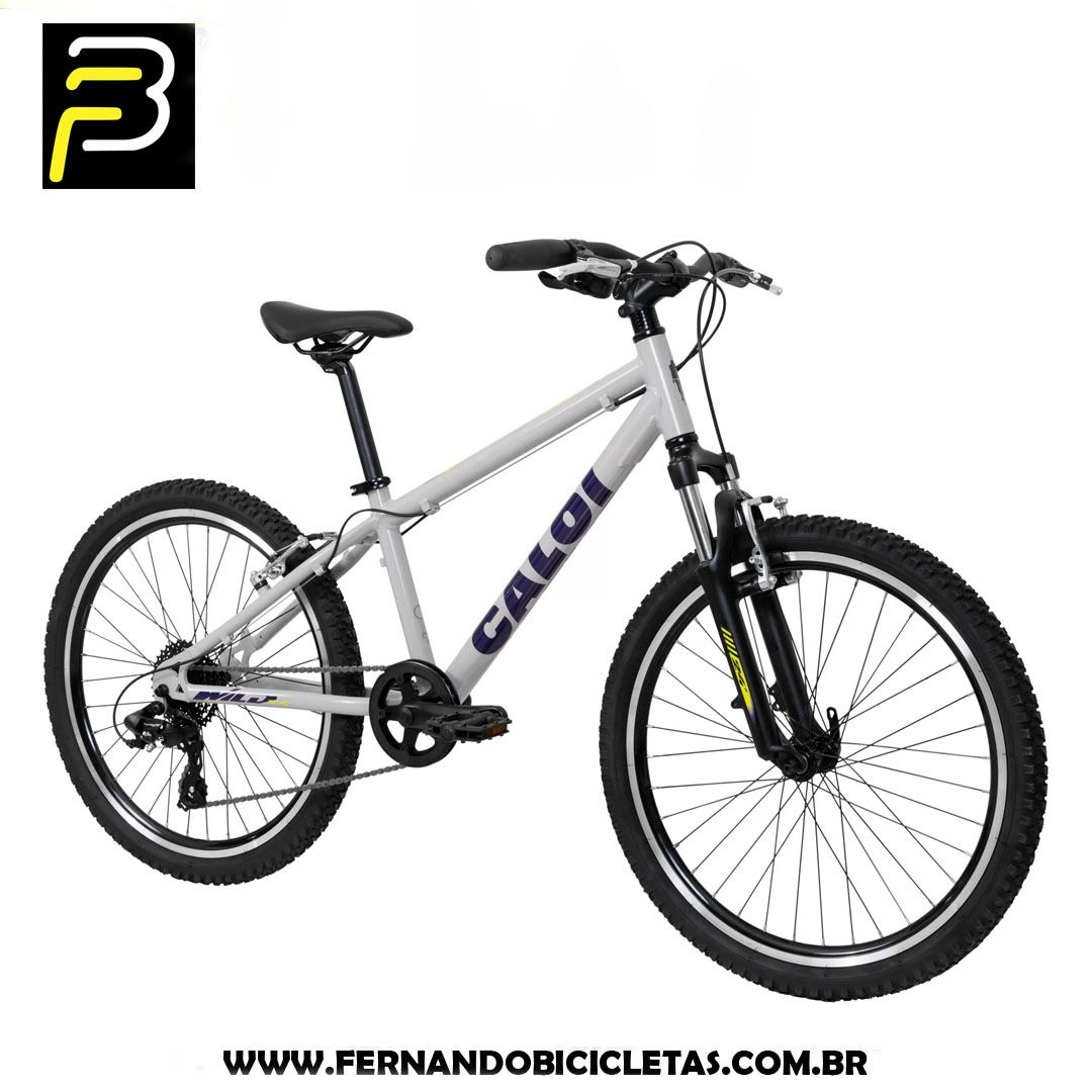 Bicicleta Caloi Wild Aro 24 - 2025