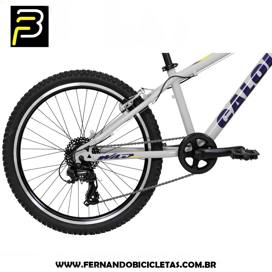 Bicicleta Caloi Wild Aro 24 - 2025