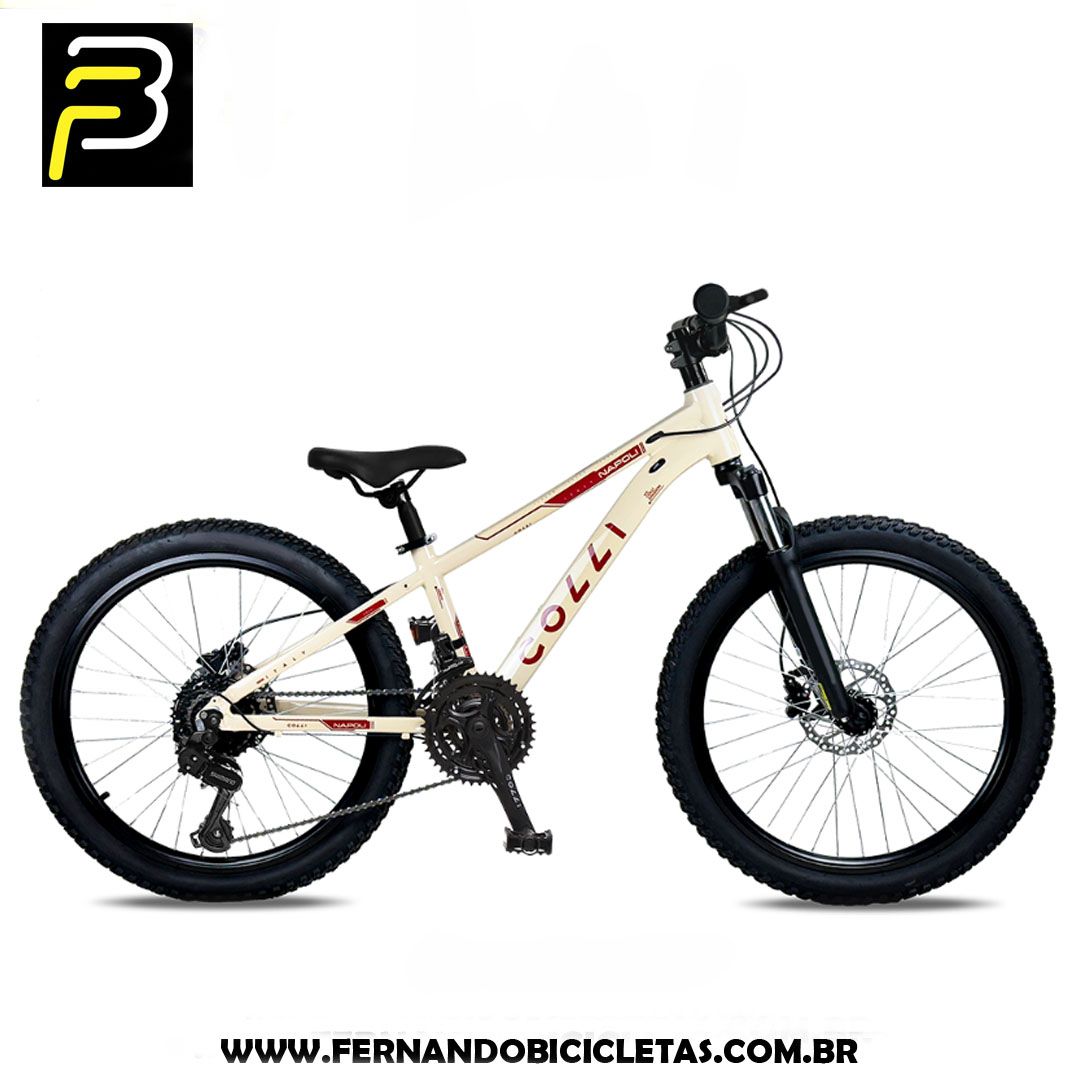 Bicicleta Colli Napoli 7V - Aro 24