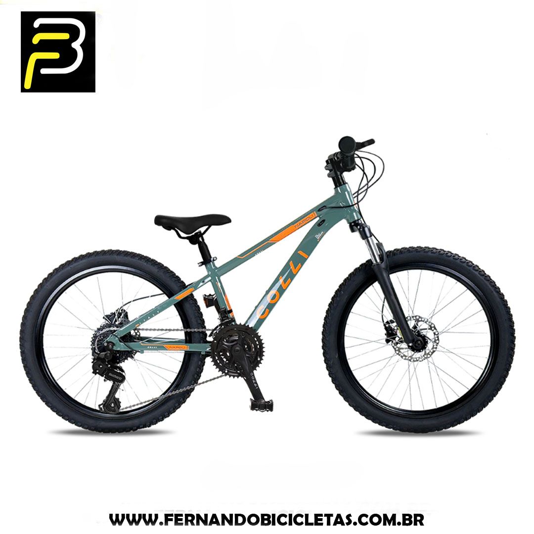 Bicicleta Colli Napoli 7V - Aro 24