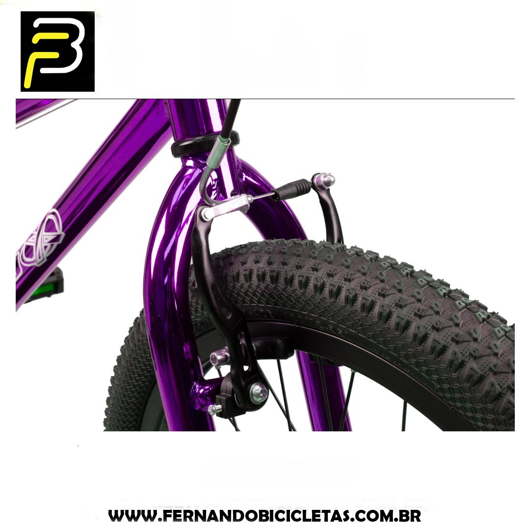 Bicicleta Pro-x Serie 5 Color Cromo - Aro 20