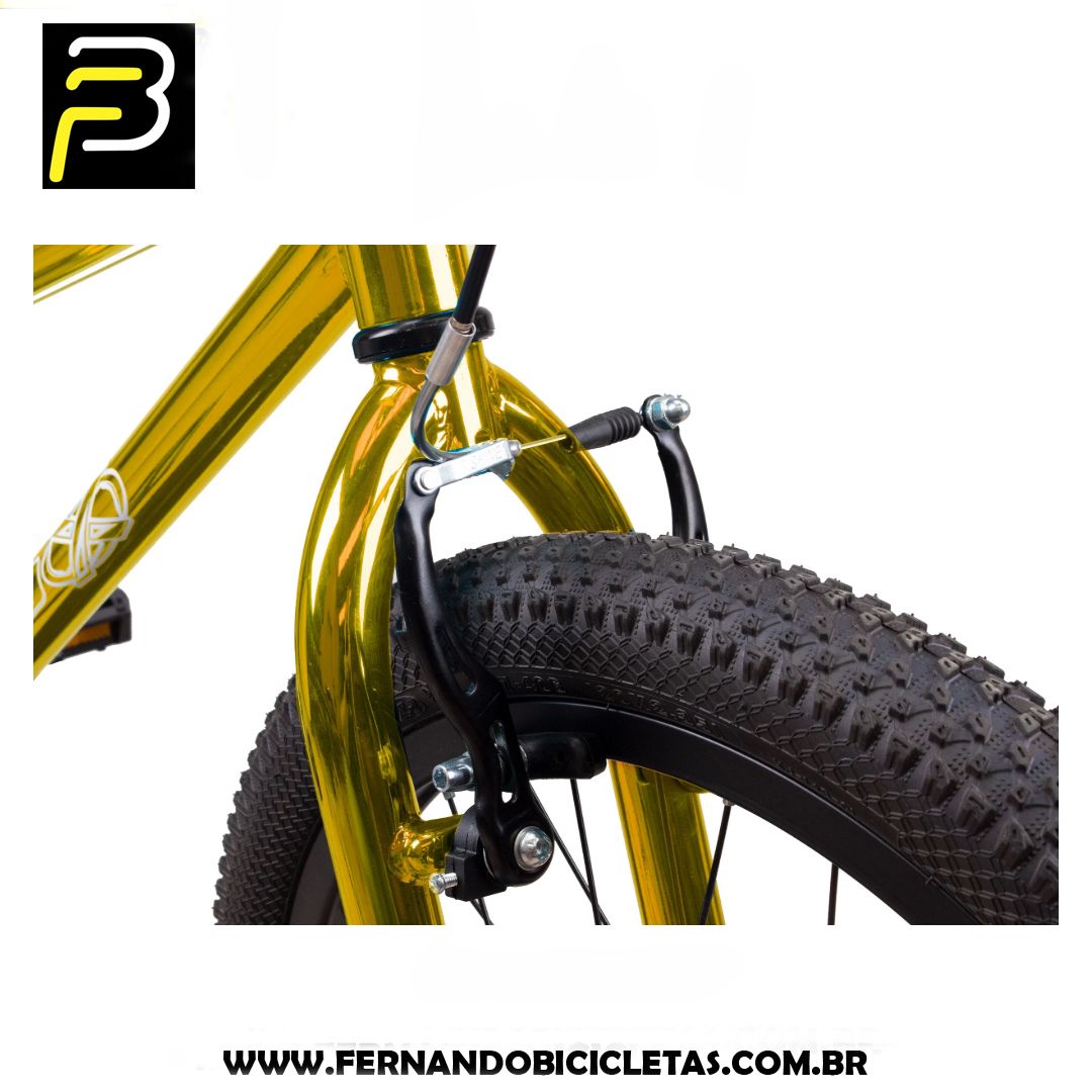 Bicicleta Pro-x Serie 5 Color Cromo - Aro 20