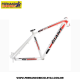 Quadro Giant ATX Elite  Branco - Aro 26