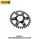 Coroa Session GXP Oval Single 32 Dentes