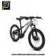 Bicicleta TSW Hunch Aro 20