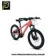 Bicicleta TSW Hunch Aro 20